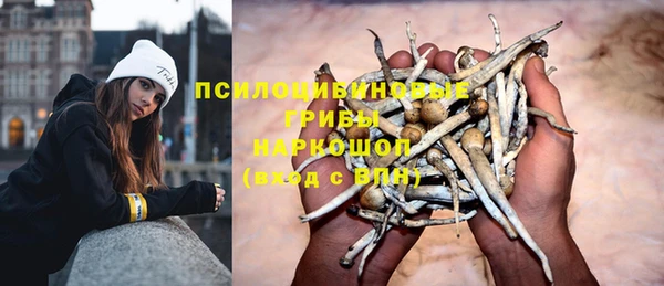 гидра Алзамай