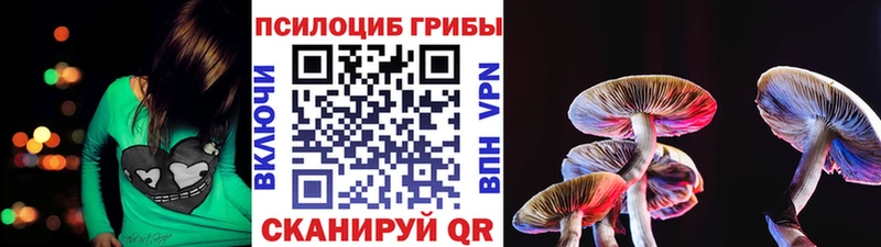 Псилоцибиновые грибы прущие грибы  Оленегорск 